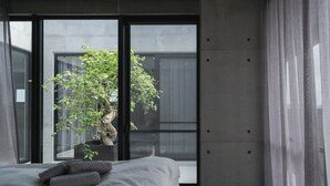 Une chambre à coucher avec un lit, une plante en pot et une vue sur un immeuble par une porte coulissante.