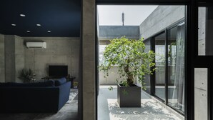 Un intérieur moderne avec un canapé foncé, un téléviseur à écran plat et une plante en pot près d’une grande fenêtre.