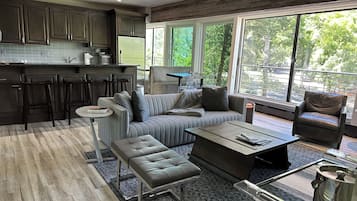 TV connectée, cheminée, livres