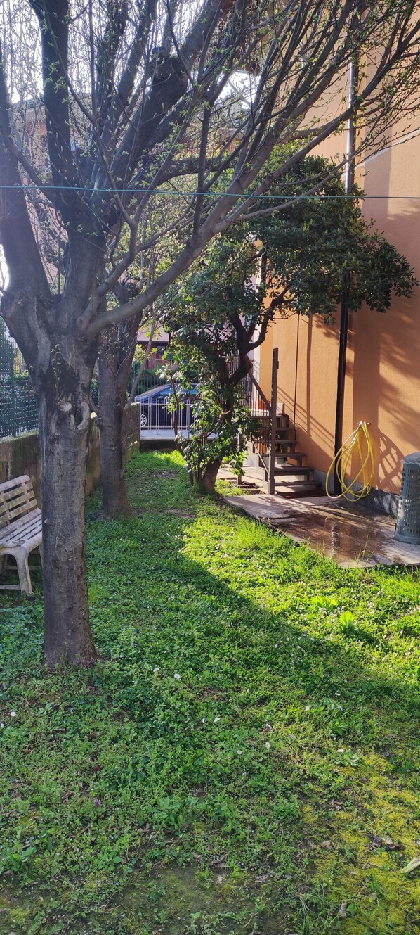 Parco della struttura