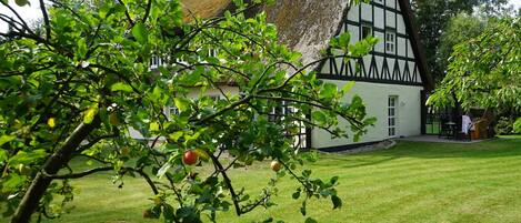 A traditional half-timbered house with a thatched roof, surrounded by a well-maintained lawn and fruit trees.