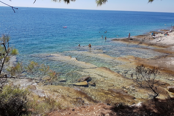 Perto da praia, bar na praia