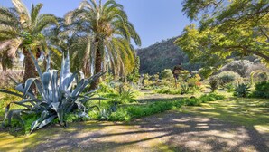 A garden with various plants and trees, including palm trees and agave plants. - Finca El Dragonal with Mountain View, Garden & Wi-Fi (Las Meleguinas, Santa Brígida)
