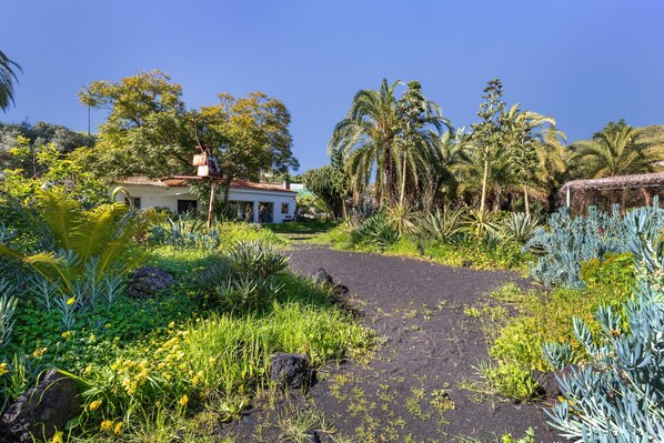 Un sentier de jardin mène à une maison dont le toit est recouvert de tuiles rouges, et qui est entourée de diverses plantes et arbres tropicaux.