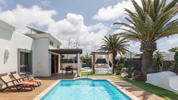 Une piscine avec des chaises longues, un espace patio et un palmier.