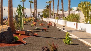 A landscaped area with palm trees, cacti, and rocks. - Apartment "Puerto Chico 7" with Sea View, Shared Pool, Terrace & Wi-Fi (Playa Blanca)