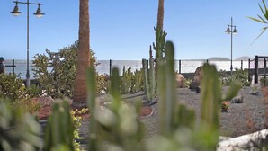 Een tuin met cactussen en een hek, een lantaarn en een heldere lucht.