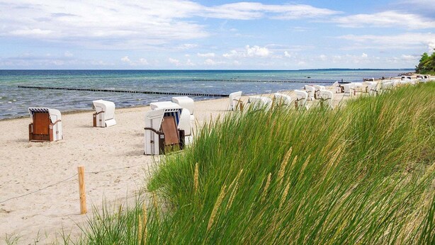 A beach with rows of white beach chairs and a wooden post in the foreground. - Gemütlicher Bungalow mit Garten (Insel Poel)