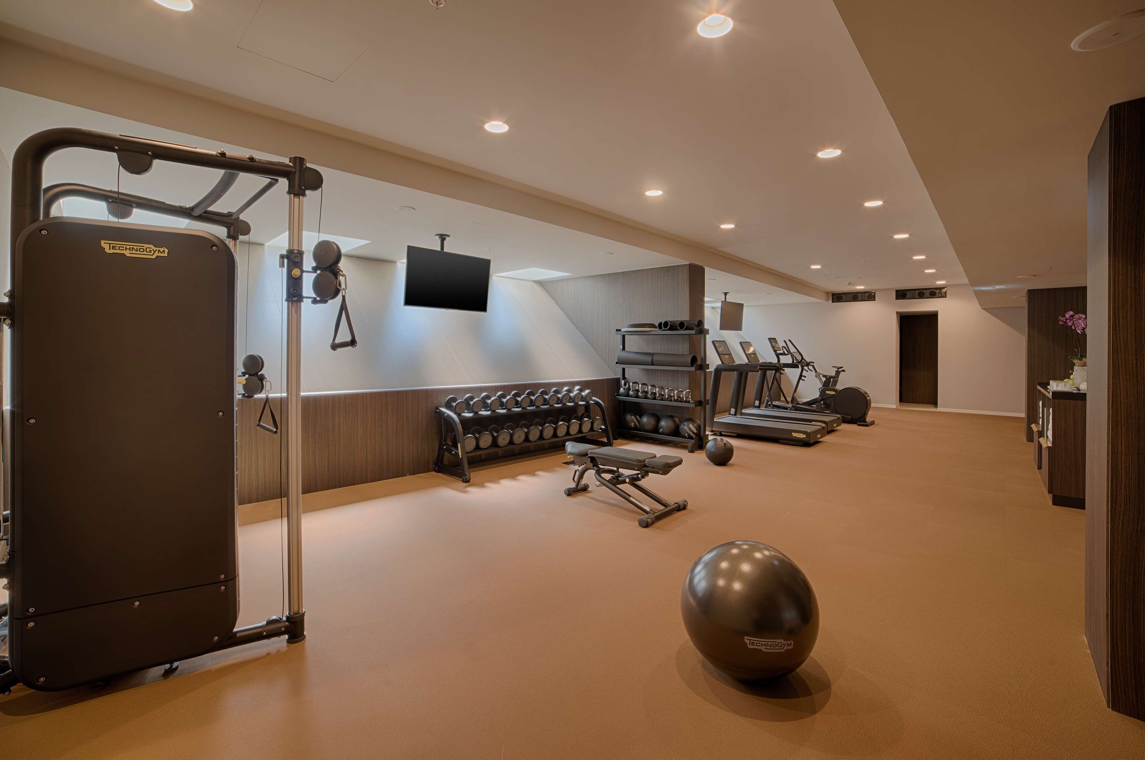 Ein modernes Fitnessstudio mit verschiedenen Trainingsgeräten, darunter ein Squat-Rack, Kurzhanteln und Laufbänder.
