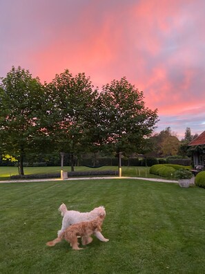 Property grounds - Logie Marie (lembeke)