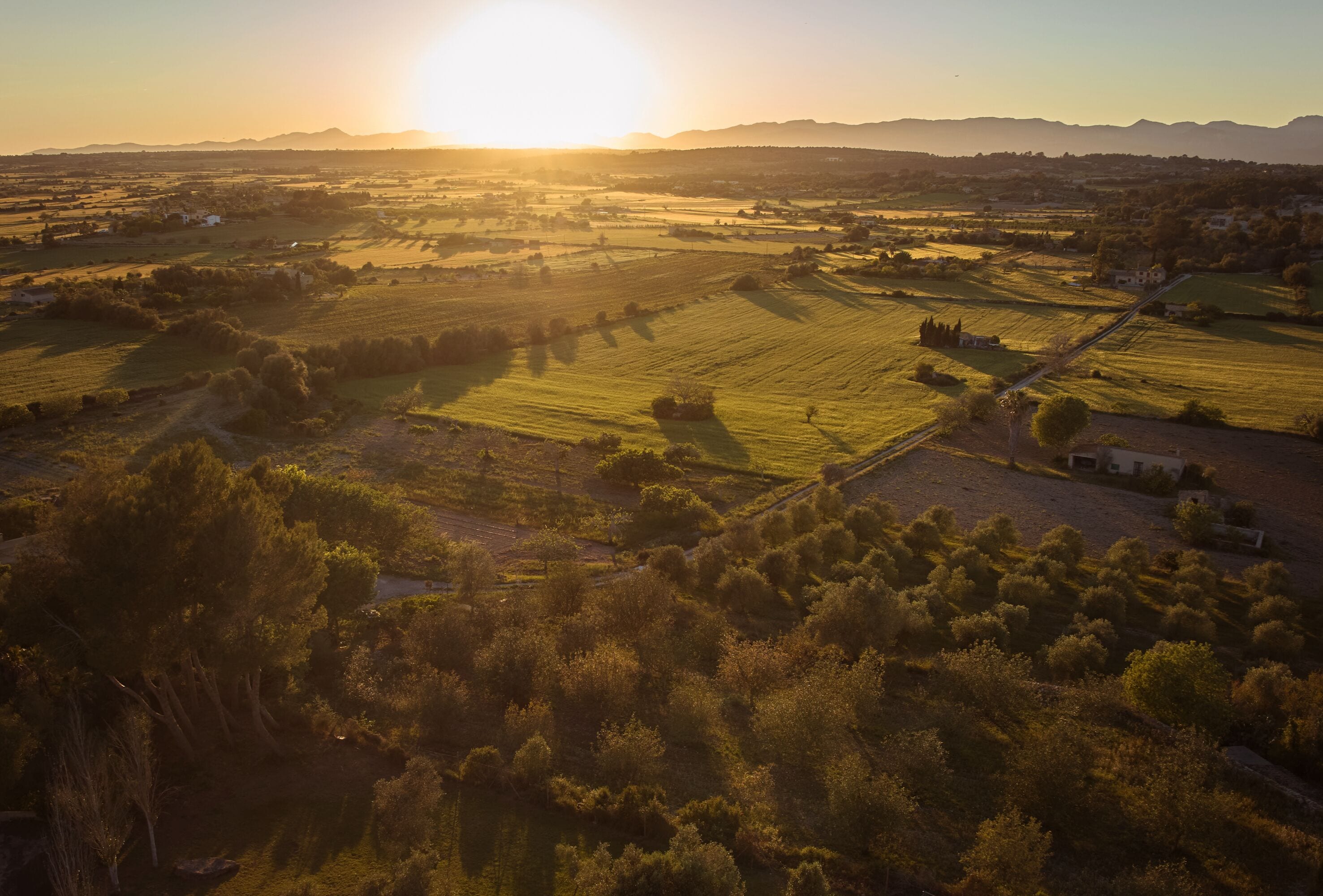 Foto - Es Figueral Nou Hotel Rural & Spa - Adults Only - Over 12