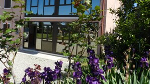 Een gebouw met een moderne gevel, grote ramen en een tuin met paarse bloemen op de voorgrond.
