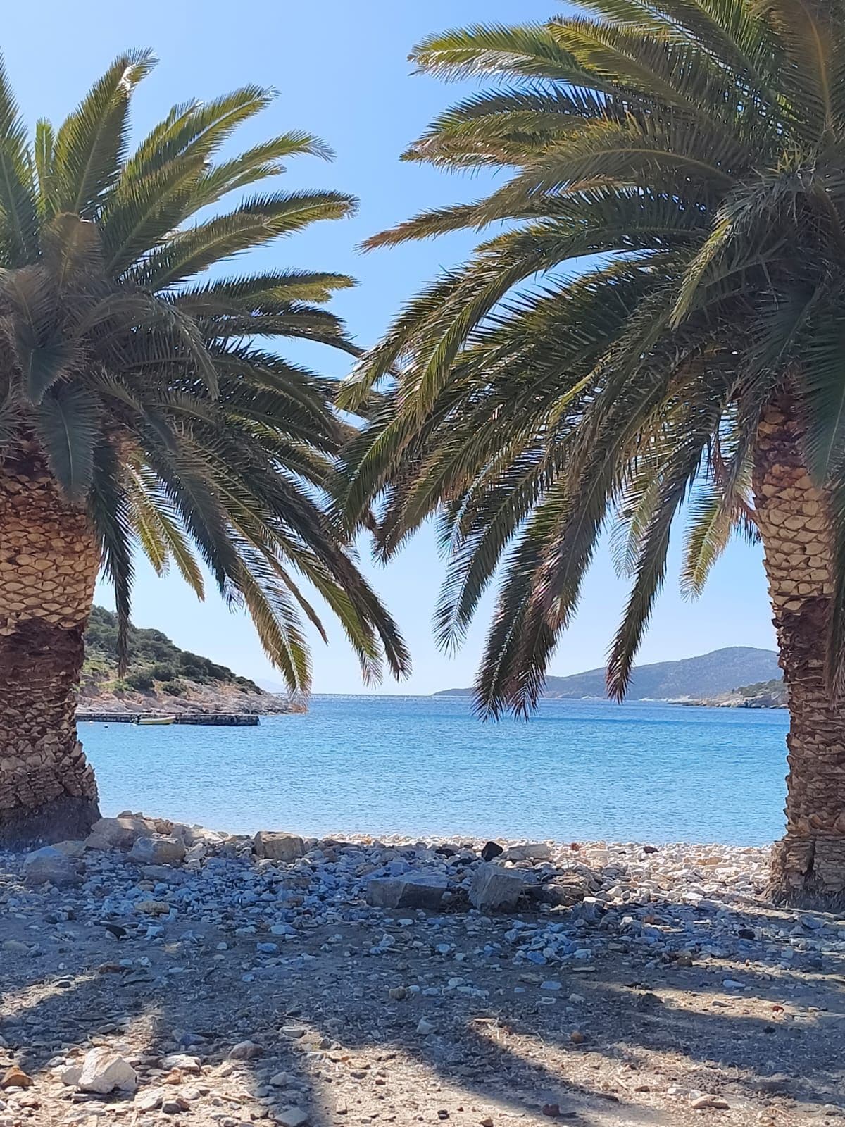 A beach with palm trees and a clear blue sea.