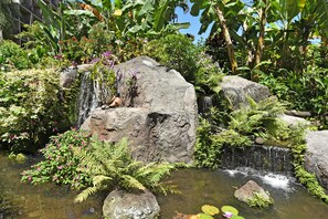 Διαμέρισμα (Condo), 1 King Κρεβάτι με Καναπέ-Κρεβάτι (Kaanapali Shores 527) | Εξωτερικός χώρος καταλύματος