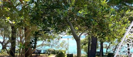 Standard Suite, 1 Bedroom, Terrace, Sea View | Terrace/patio