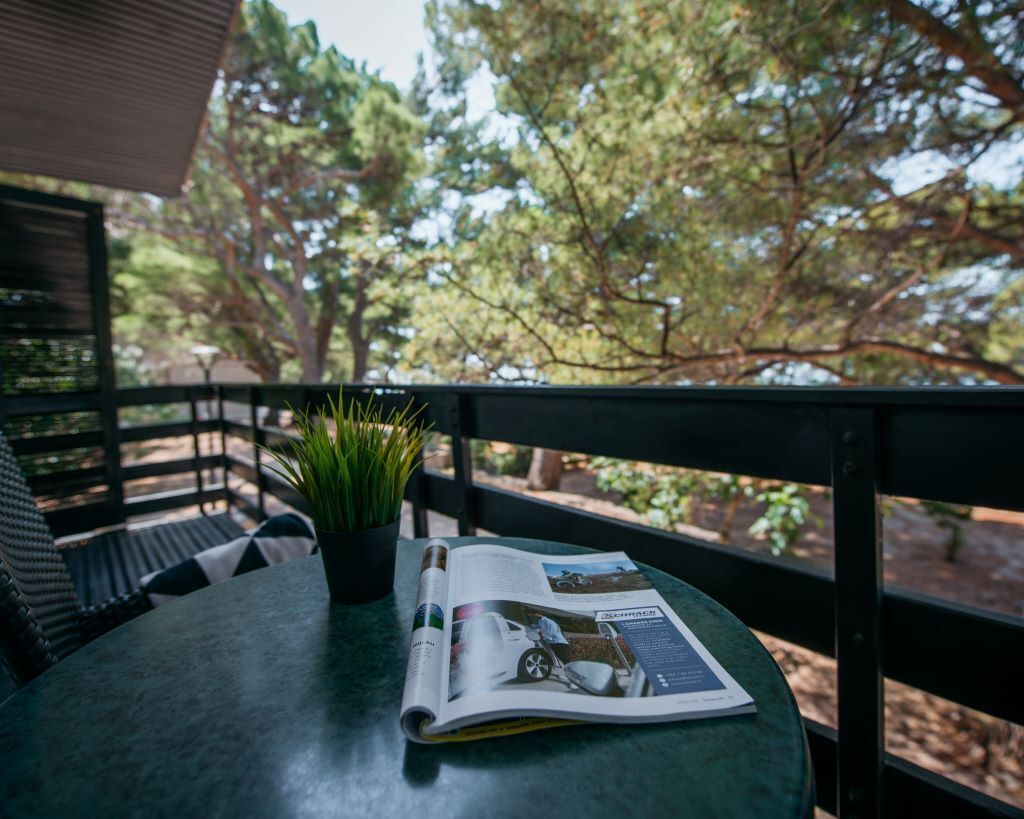 A table with a magazine, a potted plant, and a view of trees.