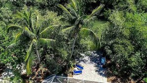 A pool area surrounded by lush greenery, including palm trees, with clear blue water and lounge chairs. - Whimsea: West End, Pets OK, Pool Home on Canal! (Sanibel)