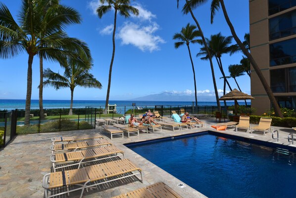 Relax by the oceanfront pool surrounded by palm trees and lounge chairs.