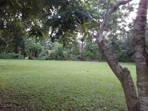 Property grounds