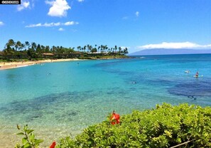 Escape to a serene tropical paradise with crystal-clear waters and lush surroundings.