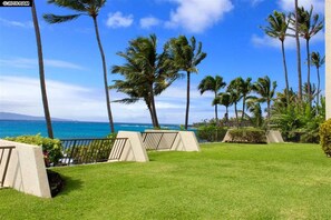 Enjoy breathtaking ocean views from this serene lawn area surrounded by palm trees.