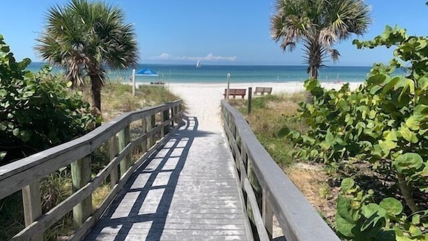 A wooden boardwalk leading to a beach with palm trees and benches. - 4 Minute Walk to Beach! Waterfront and Pool View-Indian Shores Beach! (Indian Shores)