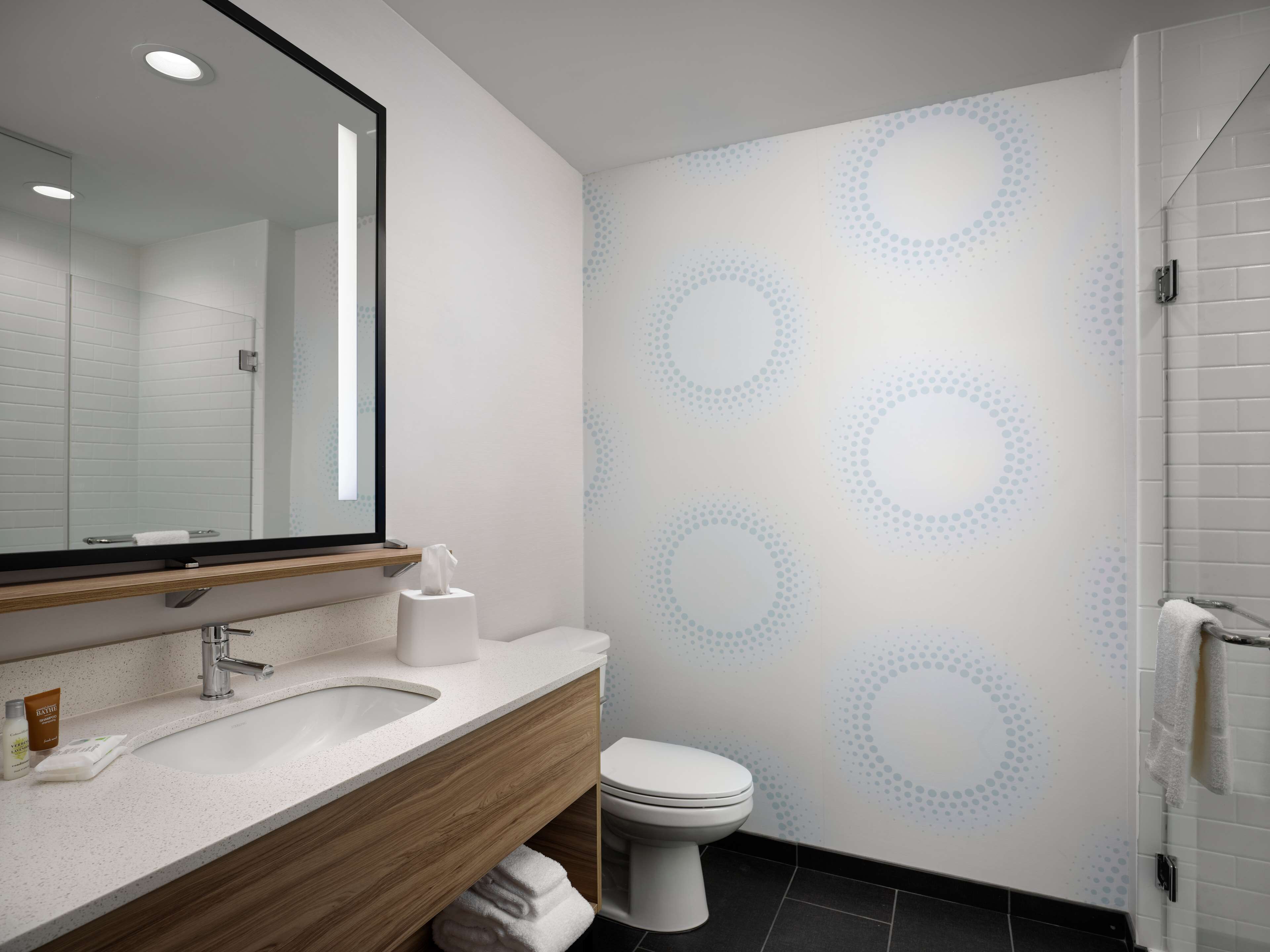 hair dryer, towels, soap, shampoo