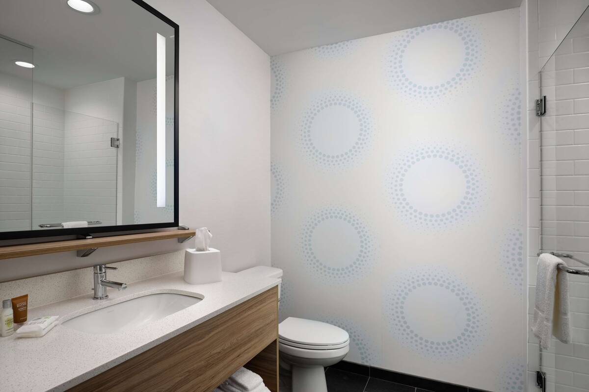 hair dryer, towels, soap, shampoo