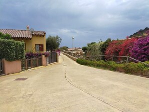 A paved pathway leading to a yellow building with a satellite dish, surrounded by lush greenery and flowering plants.