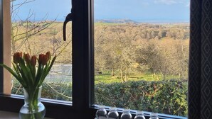 A window with a view of a landscape, a vase with flowers, and a patterned curtain.