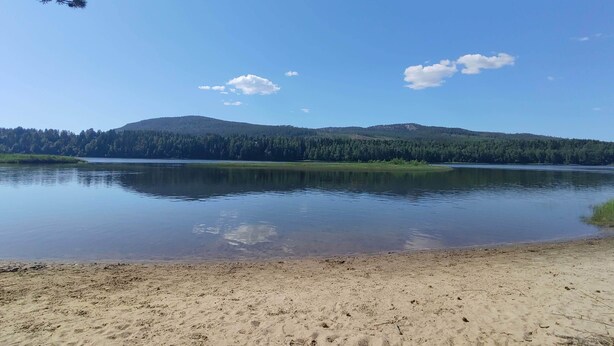 A calm lake with a sandy beach and dense forest in the background.