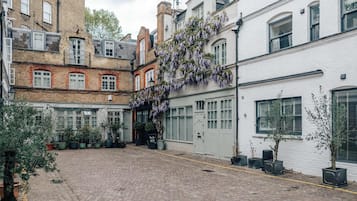 A courtyard with cobblestone pavement, potted plants, and a white building with a hanging vine.