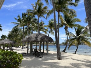Una playa con sombrillas de paja, sillas de descanso, palmeras y una vista despejada del océano.
