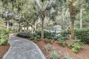 A paved pathway leading to a pool area surrounded by lush greenery and palm trees.