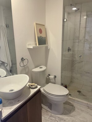 Shower, hair dryer, towels