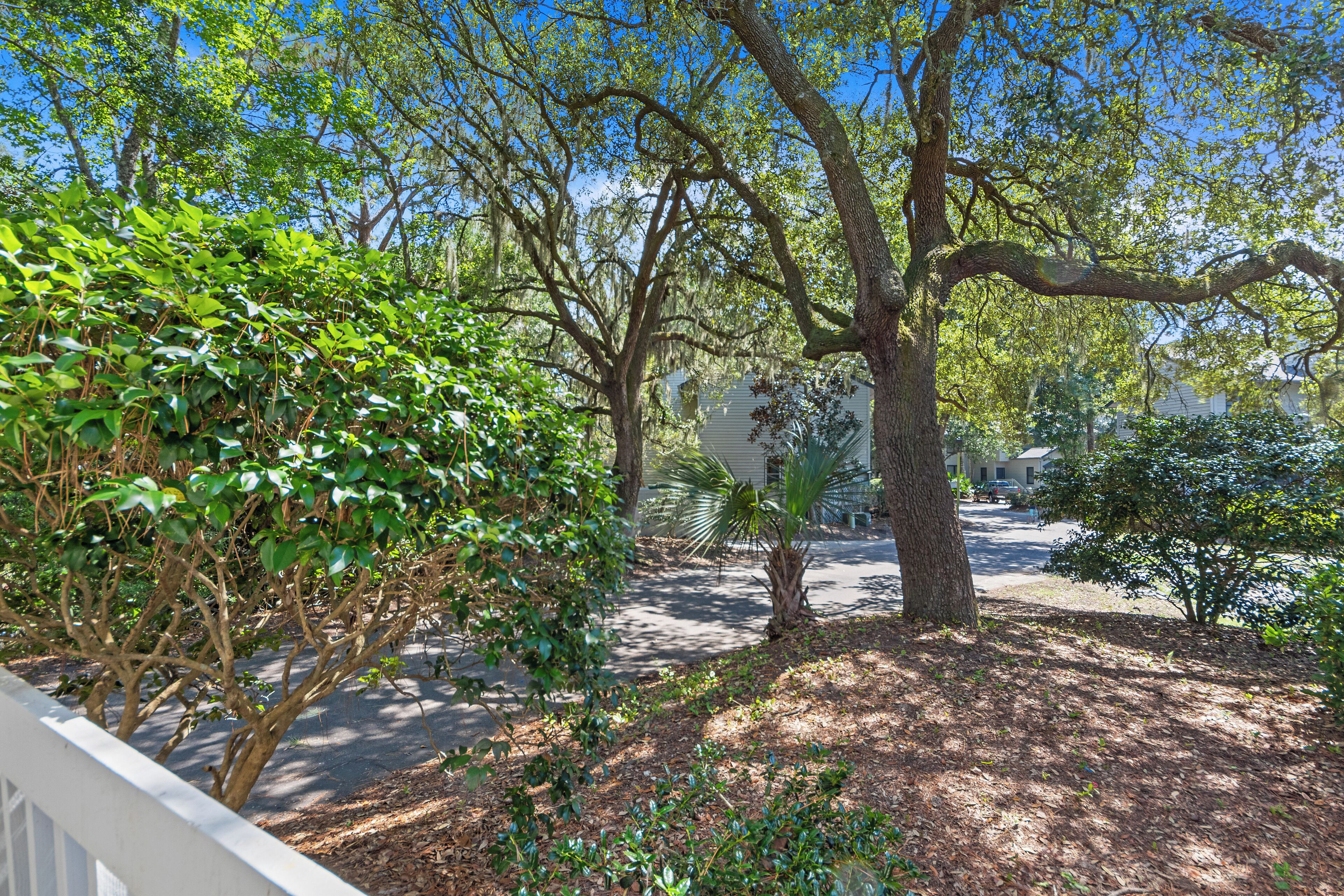 Un quartier résidentiel agrémenté d’arbres matures, d’une allée pavée et d’une clôture blanche.