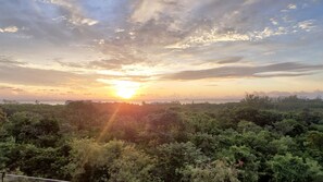 Imagen sin descripción, 4 de 5, botón