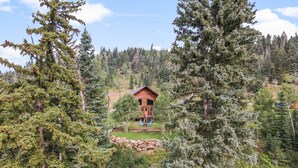A cabin surrounded by dense forest, with a clear view of the surrounding trees and a stone wall in the foreground. - Welcome to Lemon Lodge! Relax and unwind in this private and secluded cabin.  (Durango)