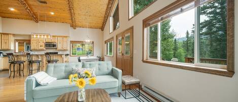 Smart TV, fireplace, books, offices