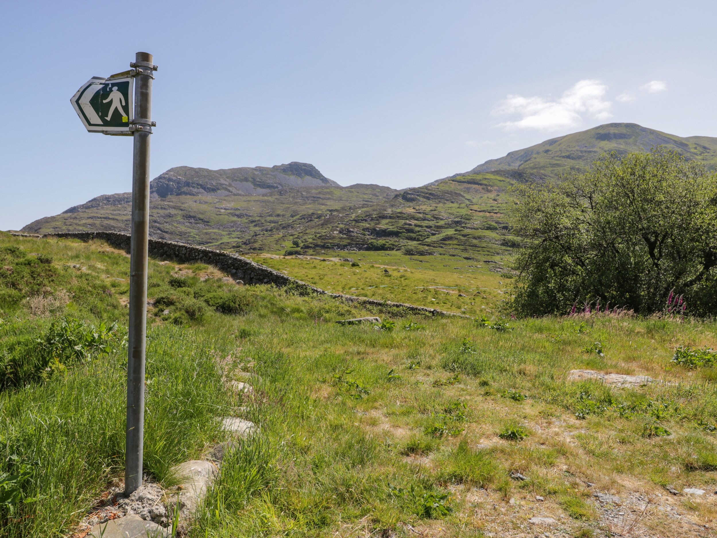 Señal de sendero para excursionistas en un campo cubierto de hierba, con montañas al fondo.