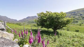 Un paisaje rural con un árbol grande, flores moradas y colinas ondulantes al fondo.