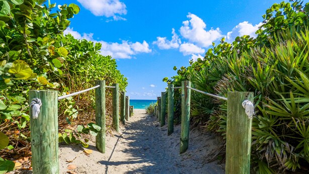 A sandy pathway flanked by wooden posts with ropes, leading to a beach with clear blue water and green foliage. - Beautiful bright, updated 2 bedroom, 2 bath oceanfront condo spectacular views! (Stuart)