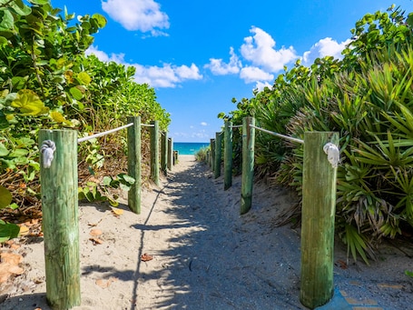 On the beach. Beautiful bright, updated 2 bedroom, 2 bath oceanfront condo spectacular views!