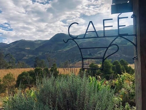 Alpaca Permaculture farm stay