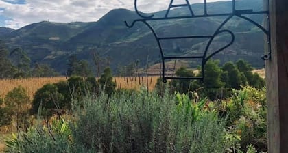 Alpaca Permaculture farm stay