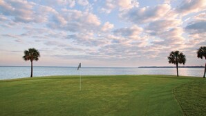 Golfkenttä, jossa on lipunvarsi, palmuja ja näkymä merelle.