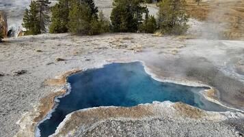 Alberca techada y alberca climatizada