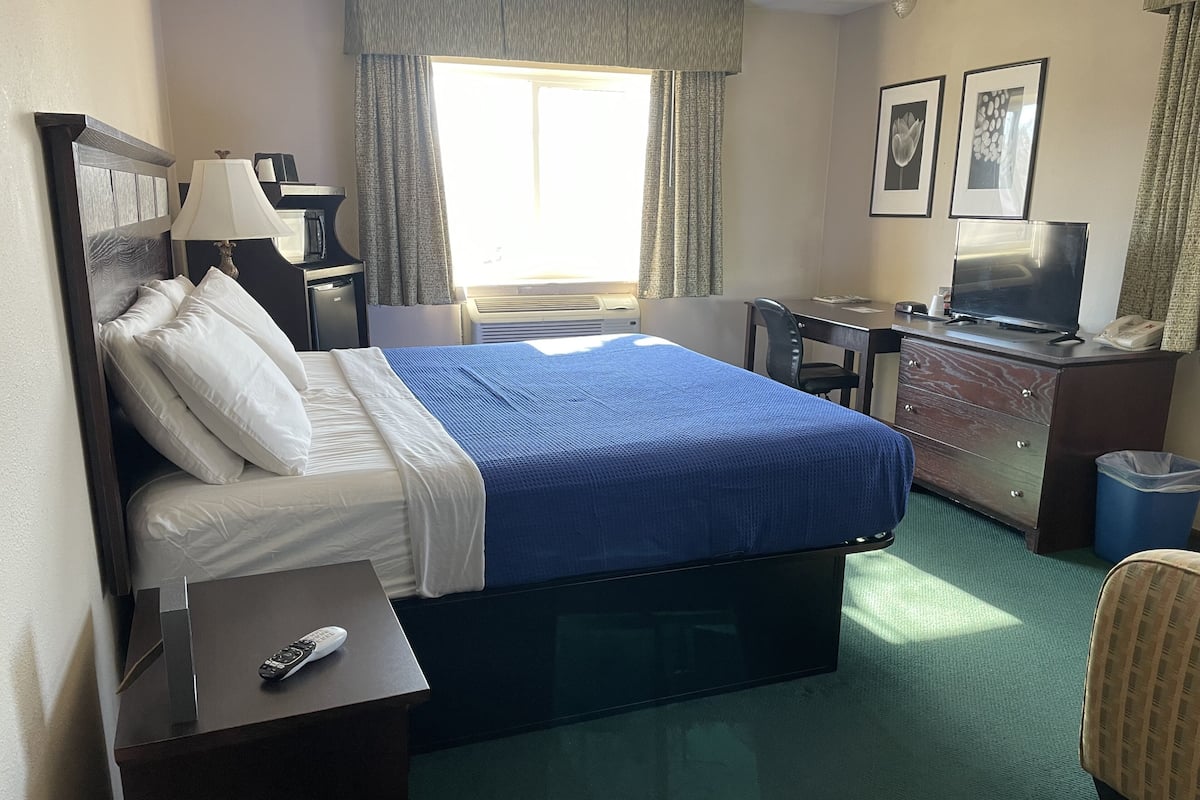A hotel room with a bed, a desk, a chair, a TV, and a trash bin.