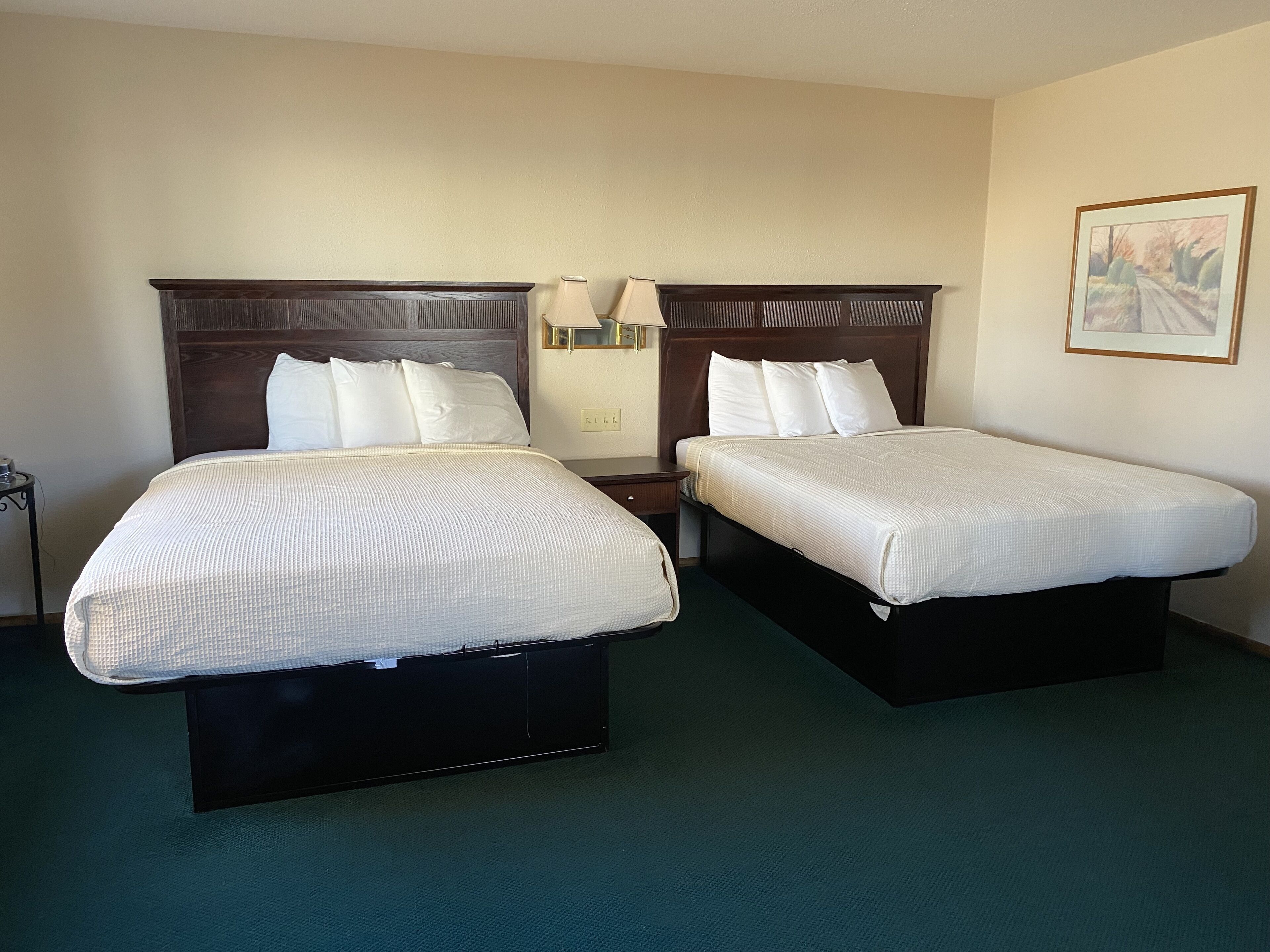 Habitación de hotel con dos camas individuales, una mesita de noche con lámpara, un cuadro en la pared y una alfombra verde.