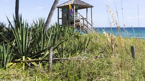 Una cabaña en la playa con techo de paja, rodeada de palmeras y vegetación tropical.